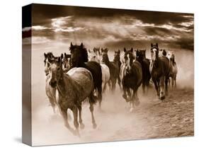 Running Horses-Monte Nagler-Stretched Canvas