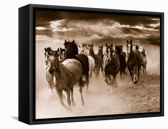 Running Horses-Monte Nagler-Framed Stretched Canvas