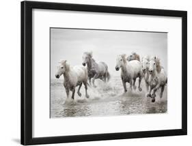 Running in the Pond-Marco Carmassi-Framed Photographic Print