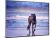 Running in the Sand I-null-Mounted Photographic Print