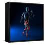 Running Injuries, Conceptual Artwork-SCIEPRO-Framed Stretched Canvas