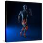 Running Injuries, Conceptual Artwork-SCIEPRO-Stretched Canvas