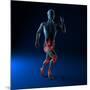 Running Injuries, Conceptual Artwork-SCIEPRO-Mounted Photographic Print