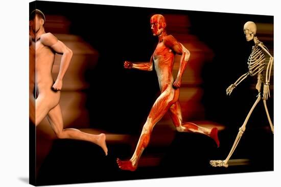 Running Man-Christian Darkin-Stretched Canvas