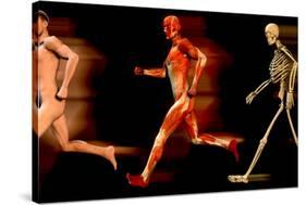 Running Man-Christian Darkin-Stretched Canvas