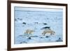 Running Mother and Cub-Howard Ruby-Framed Photographic Print