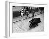 Running of the Bulls for Fiesta of San Ferman-Tony Linck-Framed Photographic Print