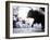 Running of the Bulls, San Fermin Festival, Pamplona, Navarra, Spain, Europe-Marco Cristofori-Framed Photographic Print