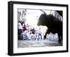 Running of the Bulls, San Fermin Festival, Pamplona, Navarra, Spain, Europe-Marco Cristofori-Framed Photographic Print