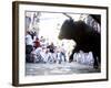 Running of the Bulls, San Fermin Festival, Pamplona, Navarra, Spain, Europe-Marco Cristofori-Framed Photographic Print