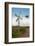 Running Old Metal Windmill-Ruud Morijn-Framed Photographic Print