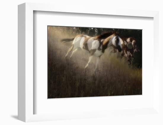 Running Paint-Steve Hunziker-Framed Art Print