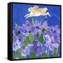 Running Rabbit-sylvia pimental-Framed Stretched Canvas