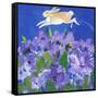 Running Rabbit-sylvia pimental-Framed Stretched Canvas