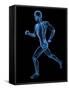 Running Skeleton, Artwork-SCIEPRO-Framed Stretched Canvas