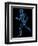 Running Skeleton, Artwork-SCIEPRO-Framed Premium Photographic Print