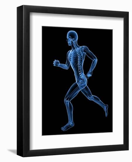 Running Skeleton, Artwork-SCIEPRO-Framed Premium Photographic Print