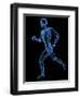 Running Skeleton, Artwork-SCIEPRO-Framed Premium Photographic Print