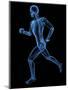 Running Skeleton, Artwork-SCIEPRO-Mounted Premium Photographic Print