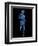 Running Skeleton, Artwork-SCIEPRO-Framed Premium Photographic Print