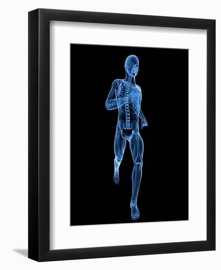 Running Skeleton, Artwork-SCIEPRO-Framed Premium Photographic Print