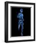 Running Skeleton, Artwork-SCIEPRO-Framed Premium Photographic Print