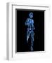 Running Skeleton, Artwork-SCIEPRO-Framed Premium Photographic Print