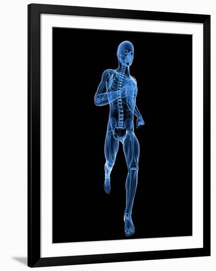 Running Skeleton, Artwork-SCIEPRO-Framed Premium Photographic Print