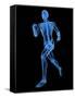 Running Skeleton, Artwork-SCIEPRO-Framed Stretched Canvas