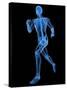 Running Skeleton, Artwork-SCIEPRO-Stretched Canvas