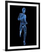 Running Skeleton, Artwork-SCIEPRO-Framed Photographic Print