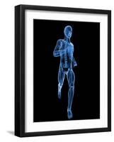 Running Skeleton, Artwork-SCIEPRO-Framed Photographic Print