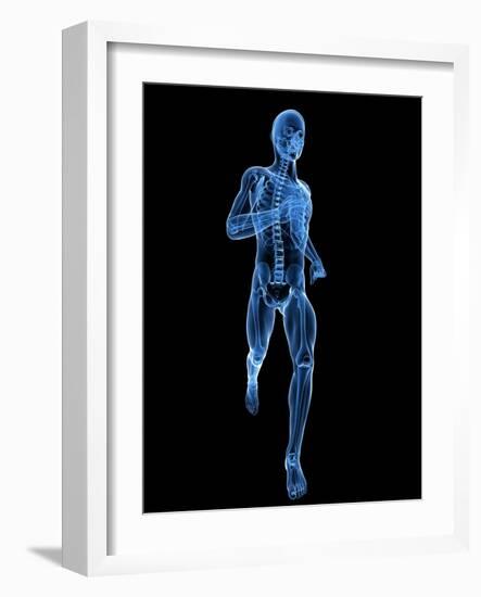 Running Skeleton, Artwork-SCIEPRO-Framed Photographic Print