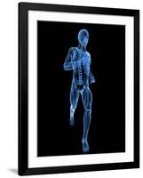 Running Skeleton, Artwork-SCIEPRO-Framed Photographic Print