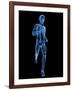 Running Skeleton, Artwork-SCIEPRO-Framed Photographic Print