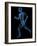 Running Skeleton, Artwork-SCIEPRO-Framed Photographic Print