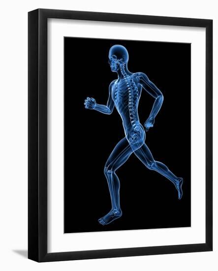 Running Skeleton, Artwork-SCIEPRO-Framed Photographic Print