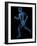 Running Skeleton, Artwork-SCIEPRO-Framed Photographic Print