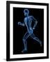 Running Skeleton, Artwork-SCIEPRO-Framed Photographic Print