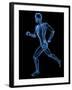 Running Skeleton, Artwork-SCIEPRO-Framed Photographic Print