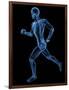 Running Skeleton, Artwork-SCIEPRO-Framed Photographic Print