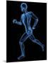 Running Skeleton, Artwork-SCIEPRO-Mounted Photographic Print