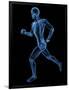 Running Skeleton, Artwork-SCIEPRO-Framed Photographic Print