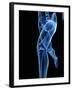 Running Skeleton, Artwork-SCIEPRO-Framed Photographic Print