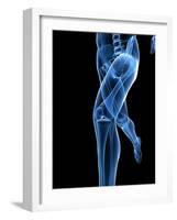 Running Skeleton, Artwork-SCIEPRO-Framed Photographic Print