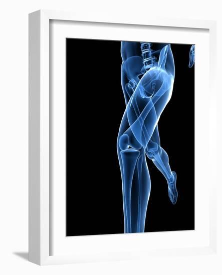 Running Skeleton, Artwork-SCIEPRO-Framed Photographic Print