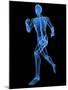 Running Skeleton, Artwork-SCIEPRO-Mounted Photographic Print