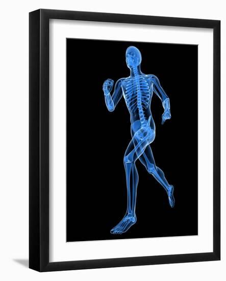 Running Skeleton, Artwork-SCIEPRO-Framed Photographic Print