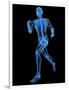 Running Skeleton, Artwork-SCIEPRO-Framed Photographic Print