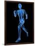 Running Skeleton, Artwork-SCIEPRO-Framed Photographic Print